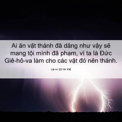 Picture 06 - Lê-vi 22:16 VIE - Ai ăn vật thánh đã dâng như vậy sẽ - Bible Verse Picture