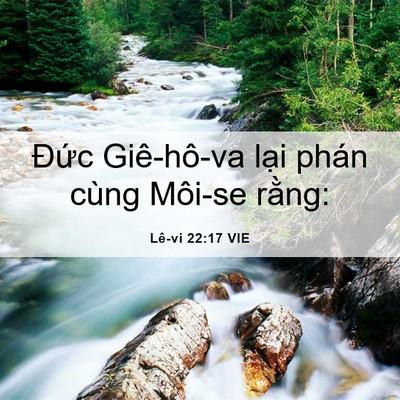 Picture 06 - Lê-vi 22:17 VIE - Đức Giê-hô-va lại phán cùng Môi-se - Bible Verse Picture