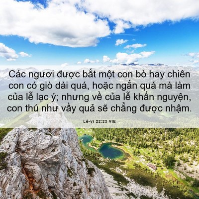Picture 06 - Lê-vi 22:23 VIE - Các ngươi được bắt một con bò hay - Bible Verse Picture