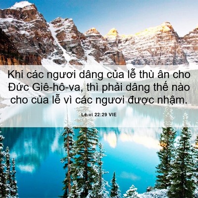 Picture 06 - Lê-vi 22:29 VIE - Khi các ngươi dâng của lễ thù ân cho - Bible Verse Picture