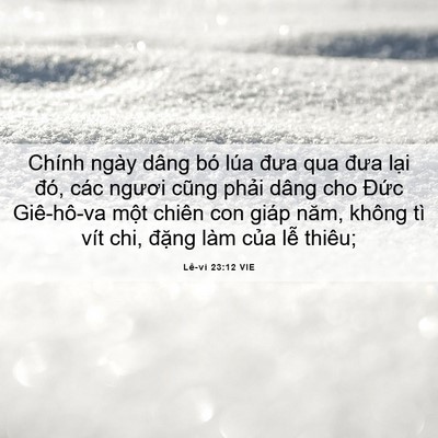 Picture 06 - Lê-vi 23:12 VIE - Chính ngày dâng bó lúa đưa qua đưa lại - Bible Verse Picture