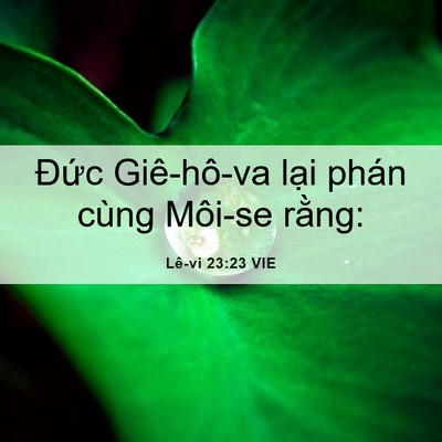 Picture 06 - Lê-vi 23:23 VIE - Đức Giê-hô-va lại phán cùng Môi-se - Bible Verse Picture