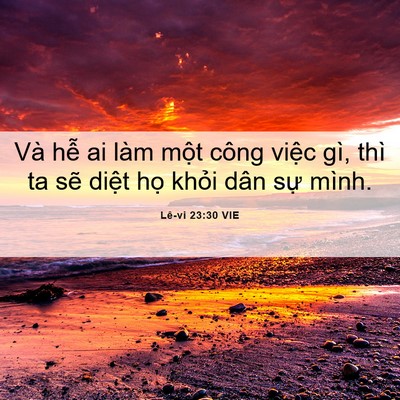 Picture 06 - Lê-vi 23:30 VIE - Và hễ ai làm một công việc gì, thì ta - Bible Verse Picture