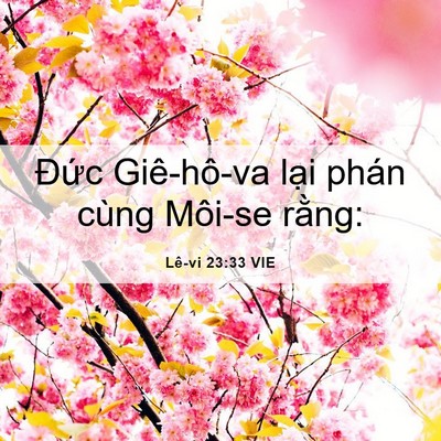 Picture 06 - Lê-vi 23:33 VIE - Đức Giê-hô-va lại phán cùng Môi-se - Bible Verse Picture