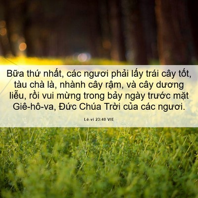 Picture 06 - Lê-vi 23:40 VIE - Bữa thứ nhất, các ngươi phải lấy - Bible Verse Picture