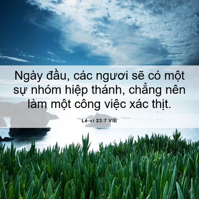 Picture 06 - Lê-vi 23:7 VIE - Ngày đầu, các ngươi sẽ có một sự - Bible Verse Picture