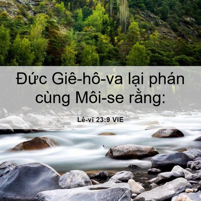 Picture 06 - Lê-vi 23:9 VIE - Đức Giê-hô-va lại phán cùng Môi-se - Bible Verse Picture