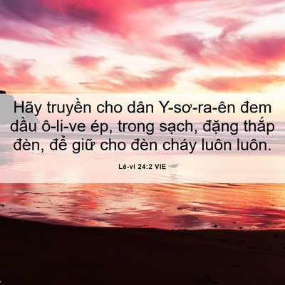 Picture 06 - Lê-vi 24:2 VIE - Hãy truyền cho dân Y-sơ-ra-ên đem dầu - Bible Verse Picture
