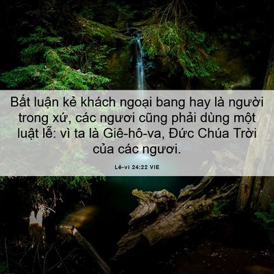 Picture 06 - Lê-vi 24:22 VIE - Bất luận kẻ khách ngoại bang hay là - Bible Verse Picture