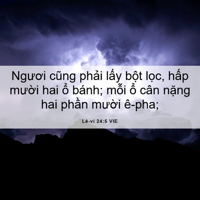 Picture 06 - Lê-vi 24:5 VIE - Ngươi cũng phải lấy bột lọc, hấp - Bible Verse Picture