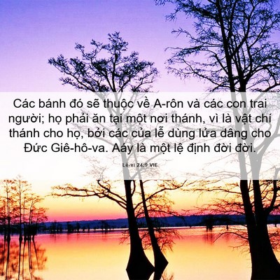Picture 06 - Lê-vi 24:9 VIE - Các bánh đó sẽ thuộc về A-rôn và các - Bible Verse Picture