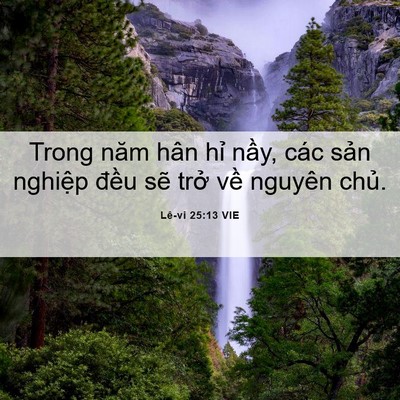 Picture 06 - Lê-vi 25:13 VIE - Trong năm hân hỉ nầy, các sản nghiệp - Bible Verse Picture