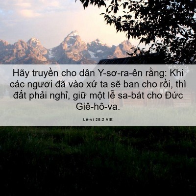 Picture 06 - Lê-vi 25:2 VIE - Hãy truyền cho dân Y-sơ-ra-ên rằng: Khi - Bible Verse Picture