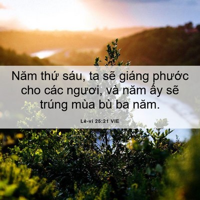 Picture 06 - Lê-vi 25:21 VIE - Năm thứ sáu, ta sẽ giáng phước cho các - Bible Verse Picture