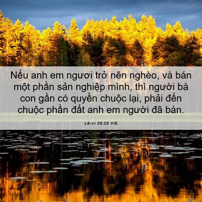 Picture 06 - Lê-vi 25:25 VIE - Nếu anh em ngươi trở nên nghèo, và bán - Bible Verse Picture