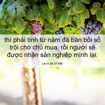 Picture 06 - Lê-vi 25:27 VIE - thì phải tính từ năm đã bán bồi số - Bible Verse Picture