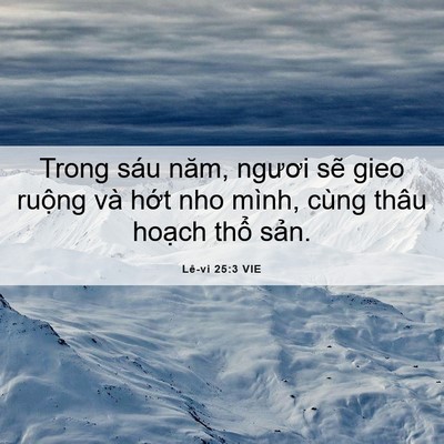 Picture 06 - Lê-vi 25:3 VIE - Trong sáu năm, ngươi sẽ gieo ruộng và - Bible Verse Picture