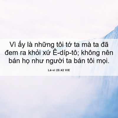 Picture 06 - Lê-vi 25:42 VIE - Vì ấy là những tôi tớ ta mà ta đã - Bible Verse Picture