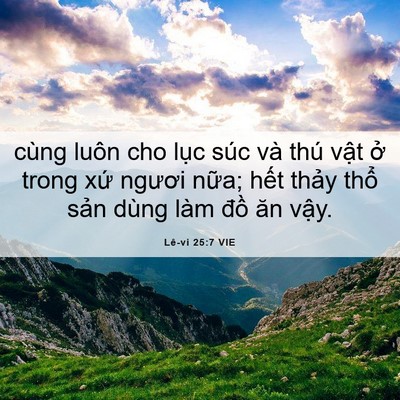 Picture 06 - Lê-vi 25:7 VIE - cùng luôn cho lục súc và thú vật ở - Bible Verse Picture