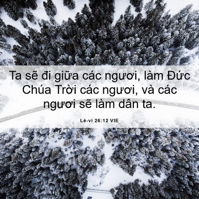 Picture 06 - Lê-vi 26:12 VIE - Ta sẽ đi giữa các ngươi, làm Đức - Bible Verse Picture