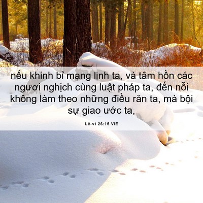 Picture 06 - Lê-vi 26:15 VIE - nếu khinh bỉ mạng lịnh ta, và tâm hồn - Bible Verse Picture