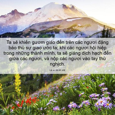 Picture 06 - Lê-vi 26:25 VIE - Ta sẽ khiến gươm giáo đến trên các - Bible Verse Picture