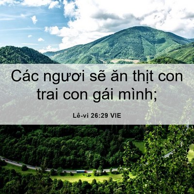 Picture 06 - Lê-vi 26:29 VIE - Các ngươi sẽ ăn thịt con trai con gái - Bible Verse Picture