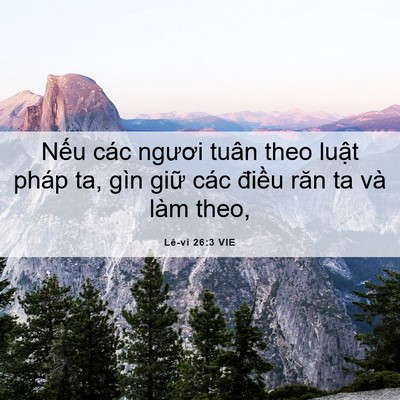 Picture 06 - Lê-vi 26:3 VIE - Nếu các ngươi tuân theo luật pháp ta, - Bible Verse Picture