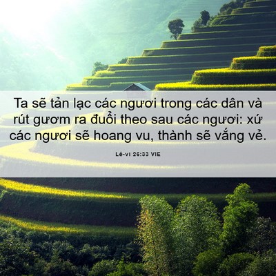 Picture 06 - Lê-vi 26:33 VIE - Ta sẽ tản lạc các ngươi trong các dân - Bible Verse Picture