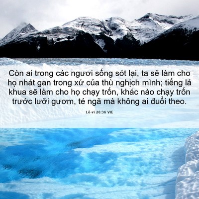 Picture 06 - Lê-vi 26:36 VIE - Còn ai trong các ngươi sống sót lại, ta - Bible Verse Picture