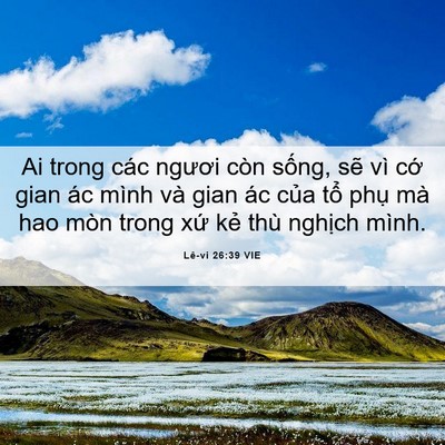 Picture 06 - Lê-vi 26:39 VIE - Ai trong các ngươi còn sống, sẽ vì cớ - Bible Verse Picture