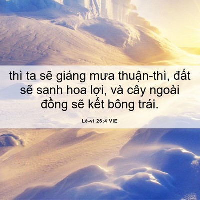 Picture 06 - Lê-vi 26:4 VIE - thì ta sẽ giáng mưa thuận-thì, đất - Bible Verse Picture