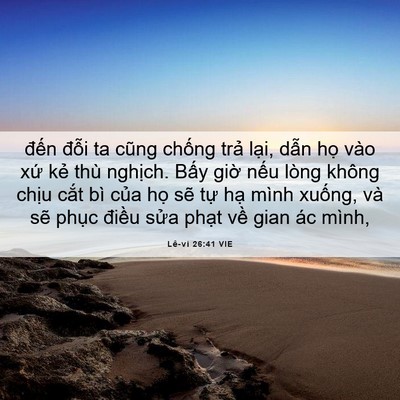 Picture 06 - Lê-vi 26:41 VIE - đến đỗi ta cũng chống trả lại, dẫn - Bible Verse Picture