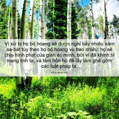 Picture 06 - Lê-vi 26:43 VIE - Vì xứ bị họ bỏ hoang sẽ được - Bible Verse Picture