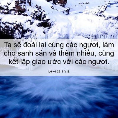Picture 06 - Lê-vi 26:9 VIE - Ta sẽ đoái lại cùng các ngươi, làm cho - Bible Verse Picture