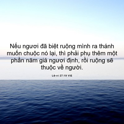 Picture 06 - Lê-vi 27:19 VIE - Nếu ngươi đã biệt ruộng mình ra thánh - Bible Verse Picture