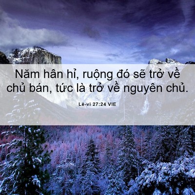 Picture 06 - Lê-vi 27:24 VIE - Năm hân hỉ, ruộng đó sẽ trở về - Bible Verse Picture