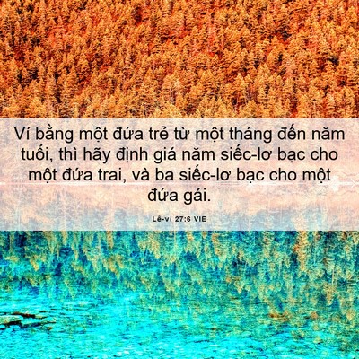 Picture 06 - Lê-vi 27:6 VIE - Ví bằng một đứa trẻ từ một tháng - Bible Verse Picture