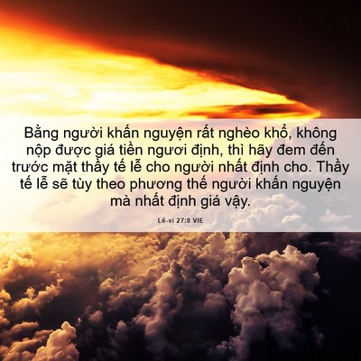 Picture 06 - Lê-vi 27:8 VIE - Bằng người khấn nguyện rất nghèo - Bible Verse Picture