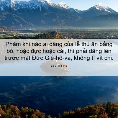 Picture 06 - Lê-vi 3:1 VIE - Phàm khi nào ai dâng của lễ thù ân - Bible Verse Picture
