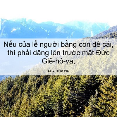 Picture 06 - Lê-vi 3:12 VIE - Nếu của lễ người bằng con dê cái, - Bible Verse Picture