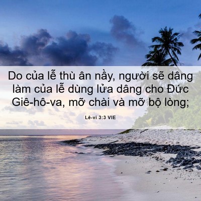 Picture 06 - Lê-vi 3:3 VIE - Do của lễ thù ân nầy, người sẽ dâng - Bible Verse Picture