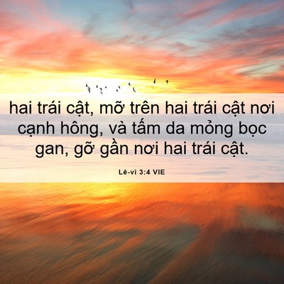 Picture 06 - Lê-vi 3:4 VIE - hai trái cật, mỡ trên hai trái cật nơi - Bible Verse Picture