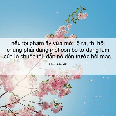 Picture 06 - Lê-vi 4:14 VIE - nếu tội phạm ấy vừa mới lộ ra, thì - Bible Verse Picture
