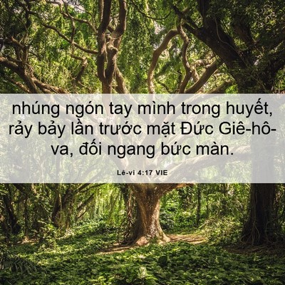 Picture 06 - Lê-vi 4:17 VIE - nhúng ngón tay mình trong huyết, rảy bảy - Bible Verse Picture