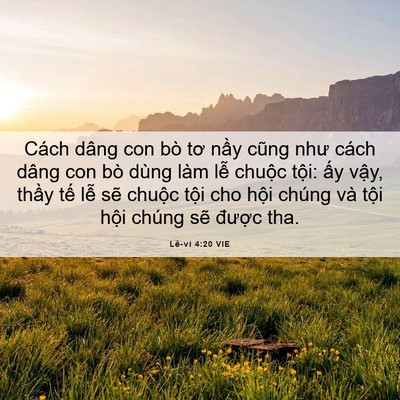 Picture 06 - Lê-vi 4:20 VIE - Cách dâng con bò tơ nầy cũng như cách - Bible Verse Picture