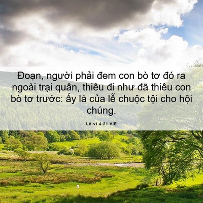 Picture 06 - Lê-vi 4:21 VIE - Đoạn, người phải đem con bò tơ đó ra - Bible Verse Picture