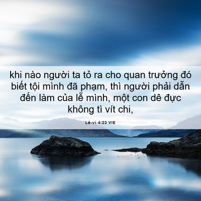 Picture 06 - Lê-vi 4:23 VIE - khi nào người ta tỏ ra cho quan trưởng - Bible Verse Picture