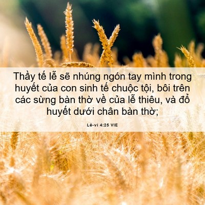 Picture 06 - Lê-vi 4:25 VIE - Thầy tế lễ sẽ nhúng ngón tay mình - Bible Verse Picture
