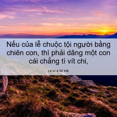 Picture 06 - Lê-vi 4:32 VIE - Nếu của lễ chuộc tội người bằng - Bible Verse Picture
